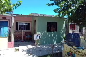 LadyBarberPilivillar