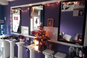 LaPeluquer&iacute;aMorena