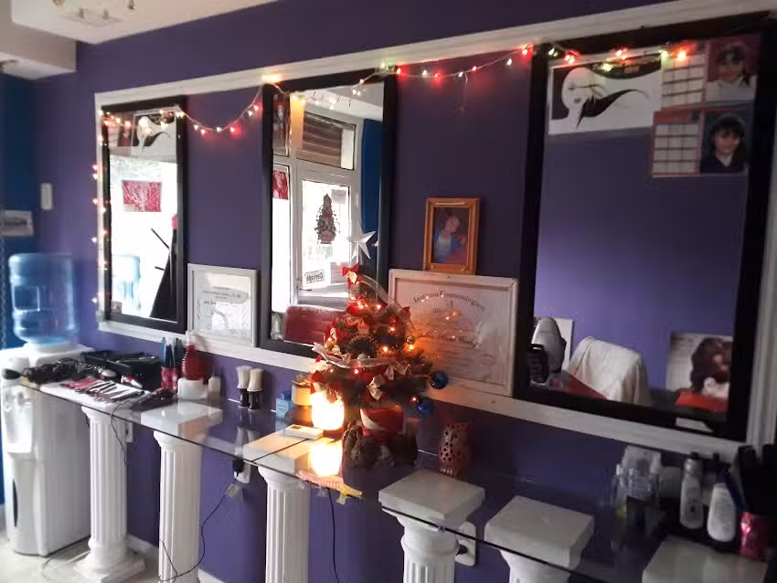 LaPeluquer&iacute;aMorena