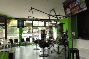 Lobos peluquer&iacute;a