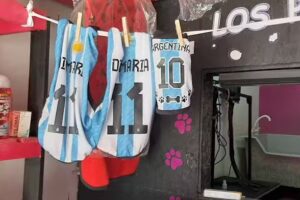 Los Perrolos Pet Shop