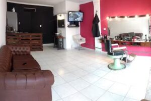 Malevo barber&iacute;a