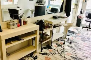 Mandala&rsquo;s Forma y Color