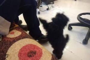 Marcela Losser Peluqueria con Estilo