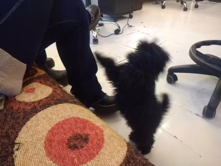 Marcela Losser Peluqueria con Estilo