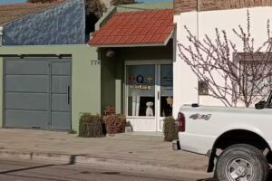 Más Que Mascotas (Peluquería Canina)Retiros y entregas a domicilio