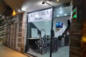 Mergian barber&iacute;a