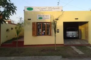 Miguel Delgado tendencias y estilo