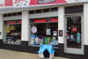 Nueva Sensacion Estilista de Guillermo Miranda