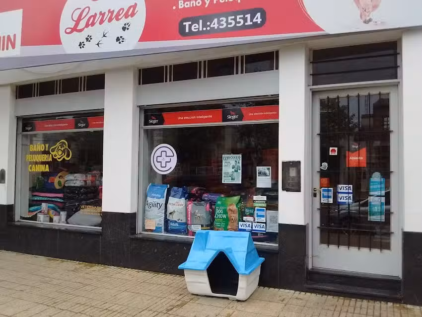 Nueva Sensacion Estilista de Guillermo Miranda