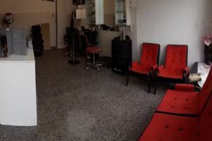 &ldquo;Nuevas Ra&iacute;ces&rdquo;