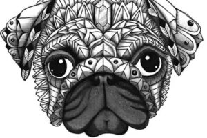 Oh My Dog Peluquer&iacute;a Canina