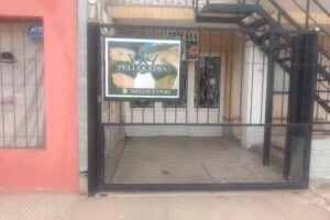 Olympus Peluquer&iacute;a VT