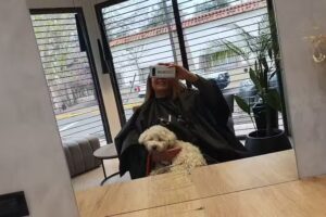 Pablo Ortega peluqueros