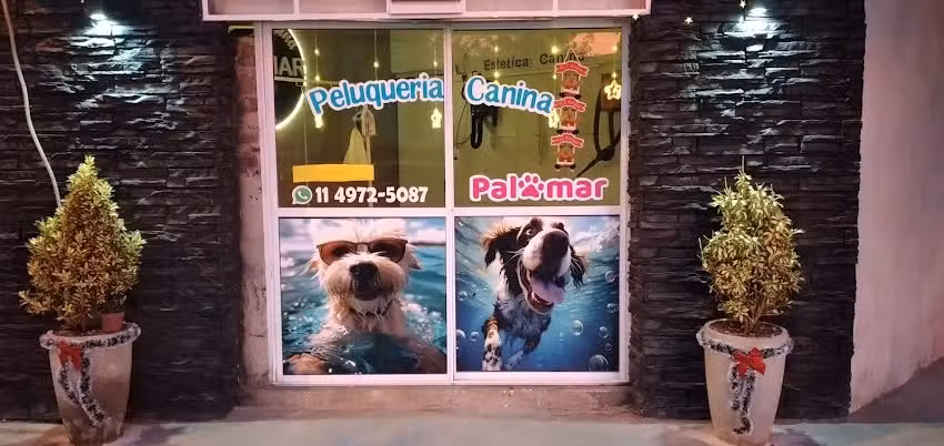 Palomarpelucan