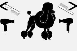 Patitas F.T. [ peluqueria canina ]