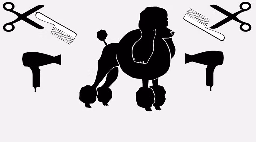 Patitas F.T. [ peluqueria canina ]