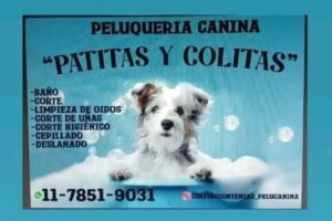 Patitas y colitas contentas