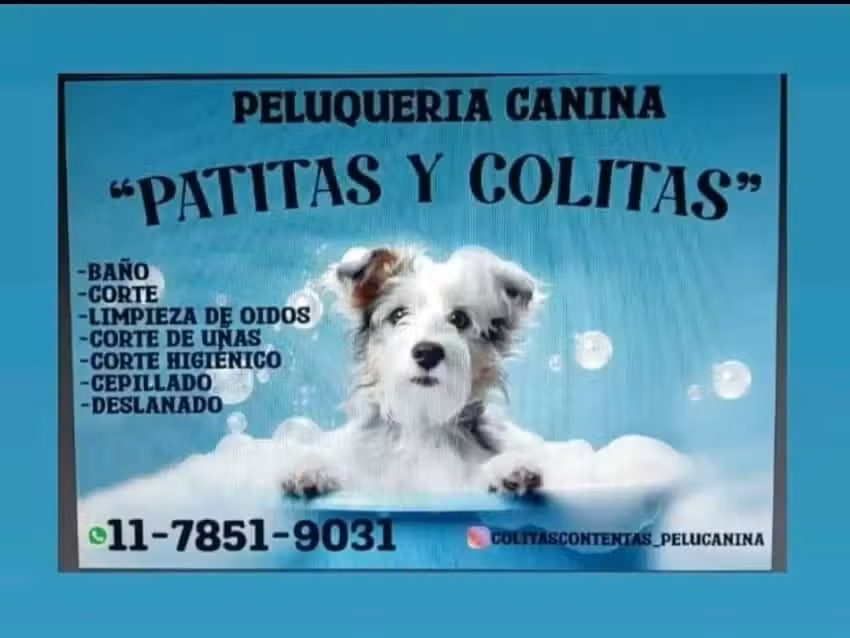 Patitas y colitas contentas