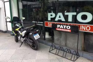 Pato Salon Masculino