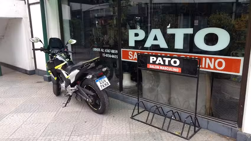 Pato Salon Masculino