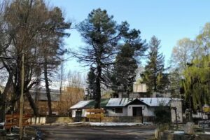 Patricia Albistur Estilista