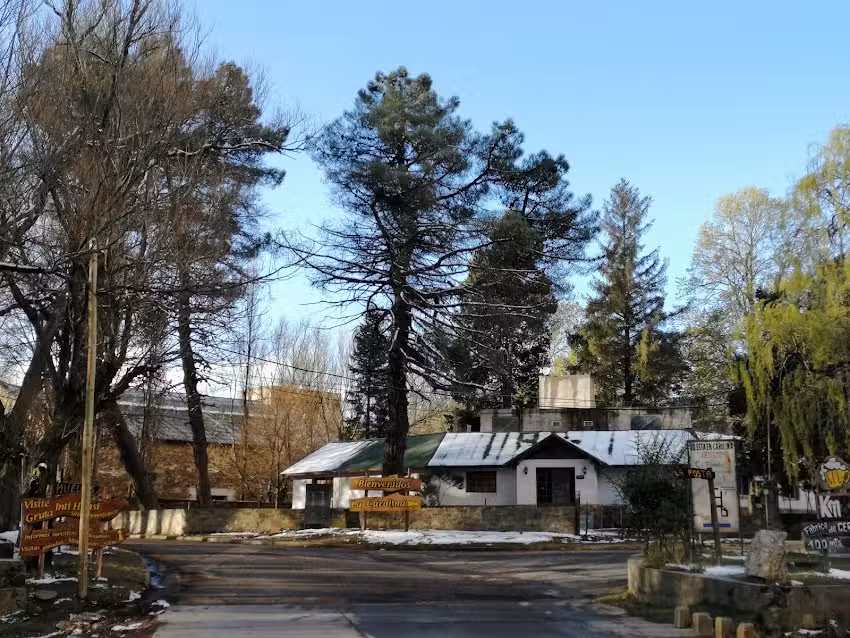 Patricia Albistur Estilista