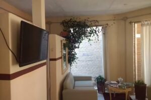 Peliqueria Piu Bella