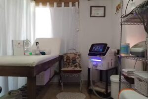 Pelu y Est&eacute;tica Lorena Paola