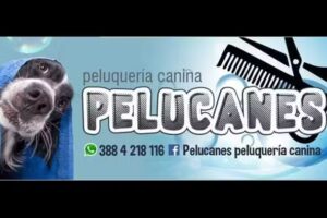 PELUCANES peluqueria canina