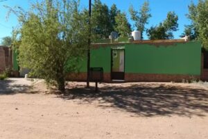 Peluditos Peluqueria Canina