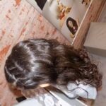 Peluquer&iacute;a Alicia