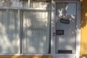 Peluquer&iacute;a Alicia