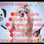 Peluquer&iacute;a canina