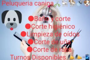 Peluquería canina