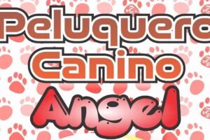 Peluqueria canina Angel