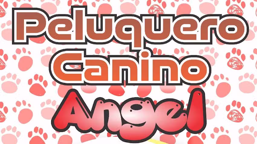 Peluqueria canina Angel