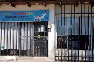 Peluquer&iacute;a canina &ldquo;Aupa Perrit@ !!!&rdquo;