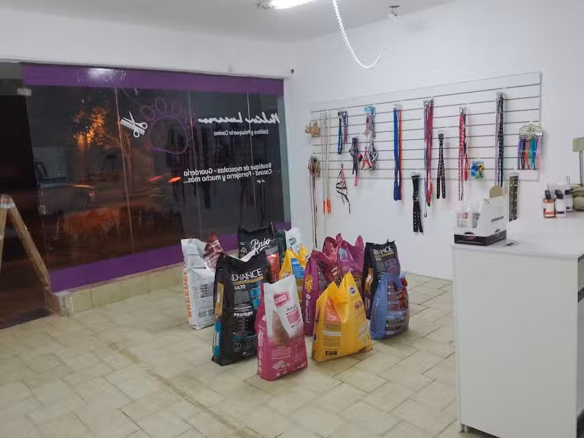 Peluquer&iacute;a canina belen lucero