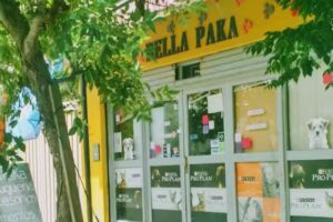 PELUQUER&Iacute;A CANINA BELLA PAKA