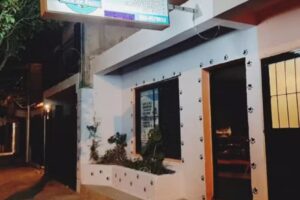 peluquer&iacute;a canina esta de pelos