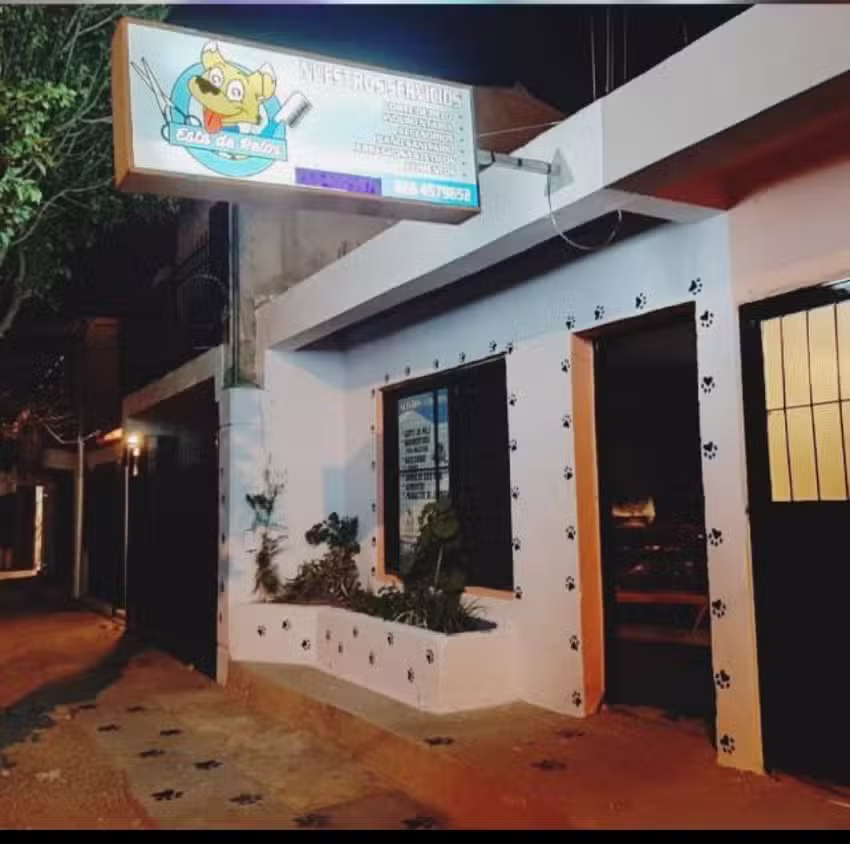 peluquer&iacute;a canina esta de pelos