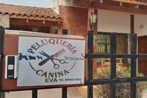 Peluquer&iacute;a Canina Eva