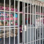 Peluquer&iacute;a canina HUELLITAS