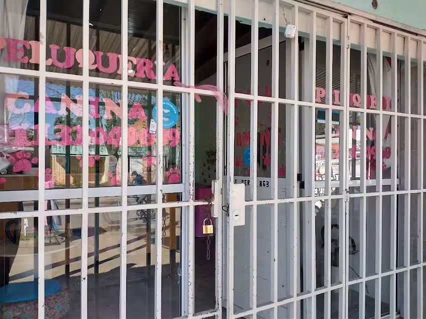 Peluquer&iacute;a canina HUELLITAS