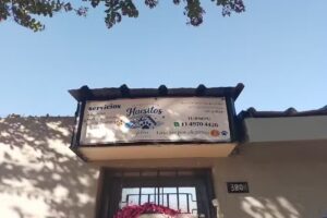 Peluqueria canina huesitos