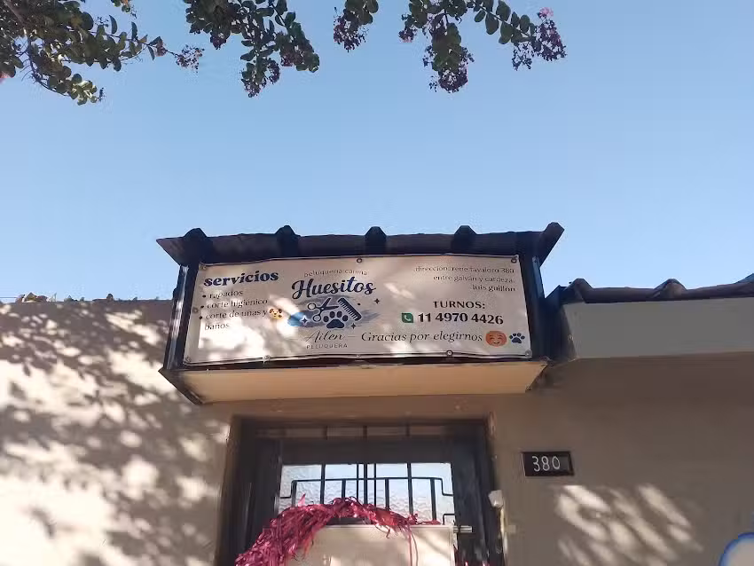 Peluqueria canina huesitos