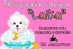 Peluquería canina Laika