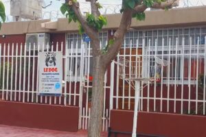 PELUQUERIA CANINA LE DOG