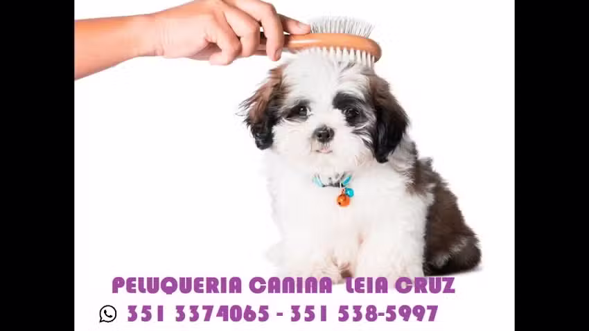 Peluqueria Canina L&eacute;ia
